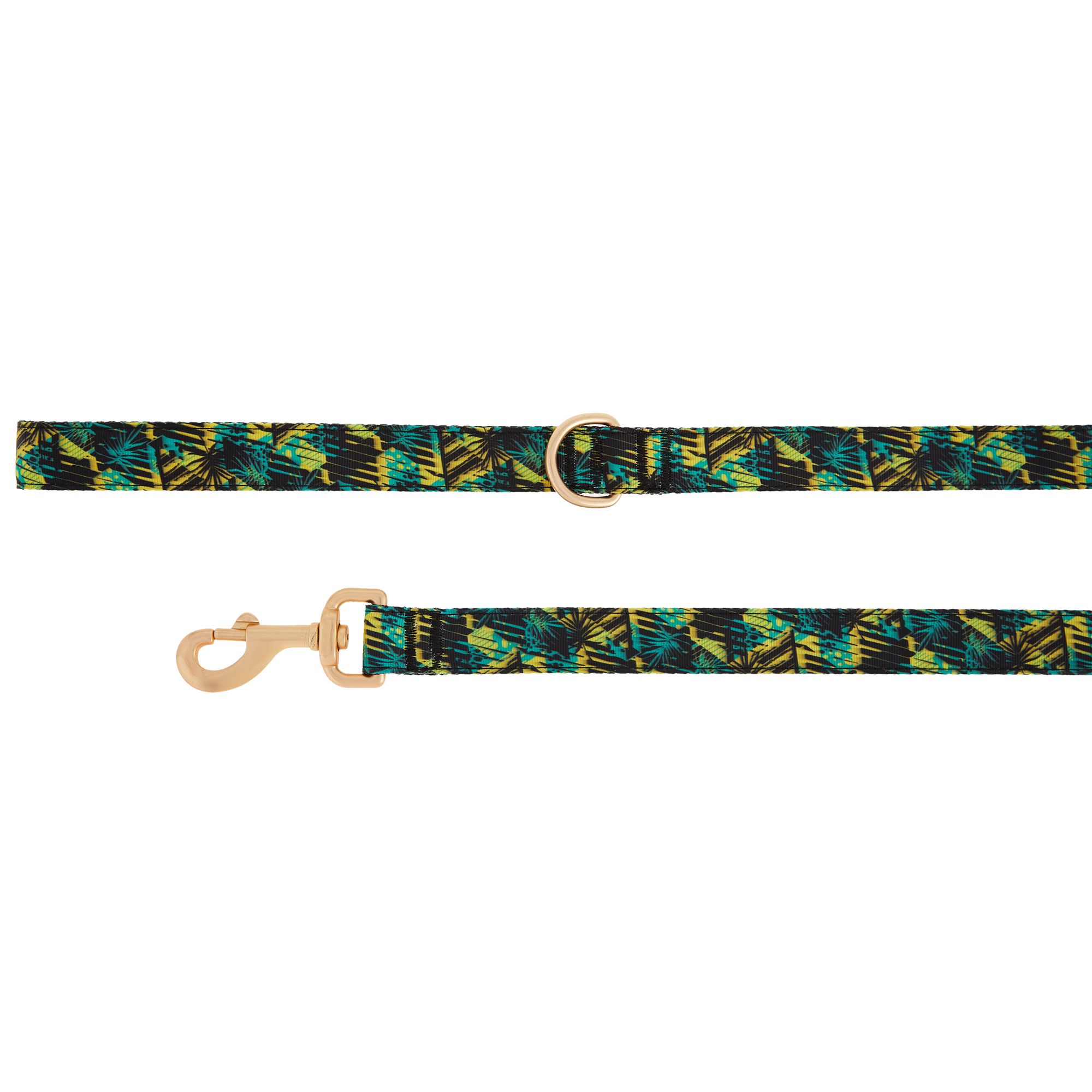 training leash petsmart