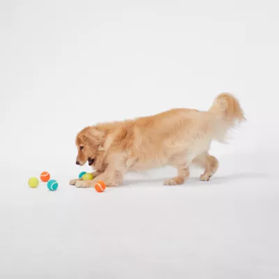 Product Joyhound® Game On Tennis Ball Dog Toys - 6 Pack