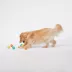 Joyhound® Game On Tennis Ball Dog Toys - 6 Pack image thumbnail 3