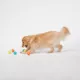 Product Joyhound Game On Tennis Ball Dog Toys - 6 Pack