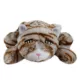 Product Smart Pet Love Tan Tiger Snuggle Kitty Behavioral Aid Toy