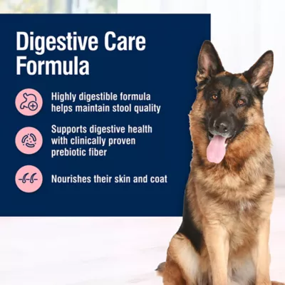 Product Blue Buffalo® True Solutions™ Blissful Belly Digestive Care All Life Stages Dry Dog Food