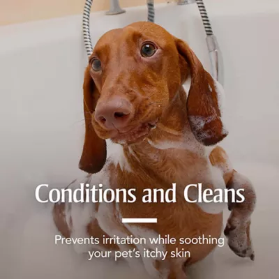 Product PetArmor® Plus Flea & Tick Oatmeal Shampoo for Dogs