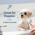 PetArmor® Plus Flea & Tick Oatmeal Shampoo for Dogs, Tropical Breeze scent, 18 oz image thumbnail 7