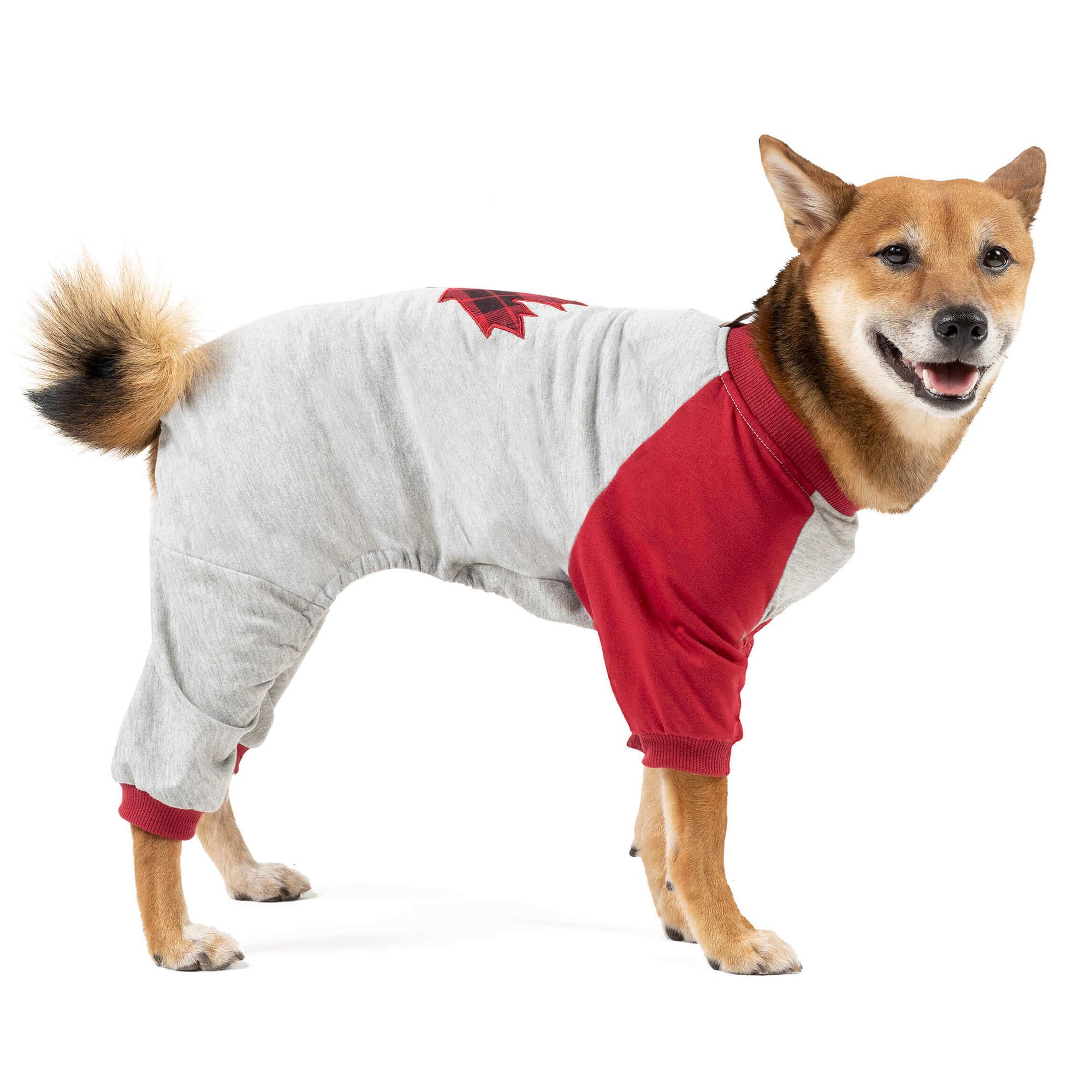 beaver canoe dog apparel