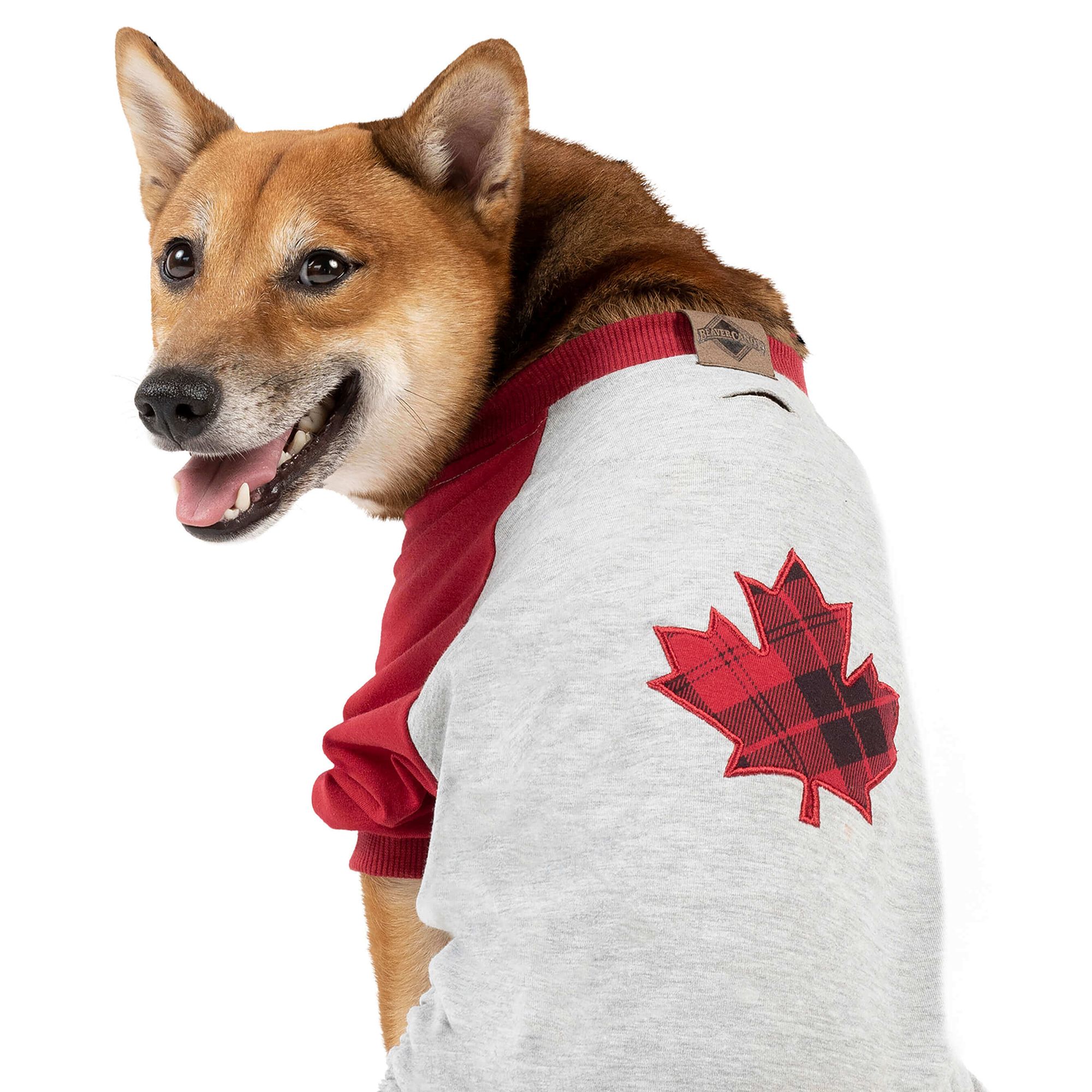 beaver canoe dog apparel