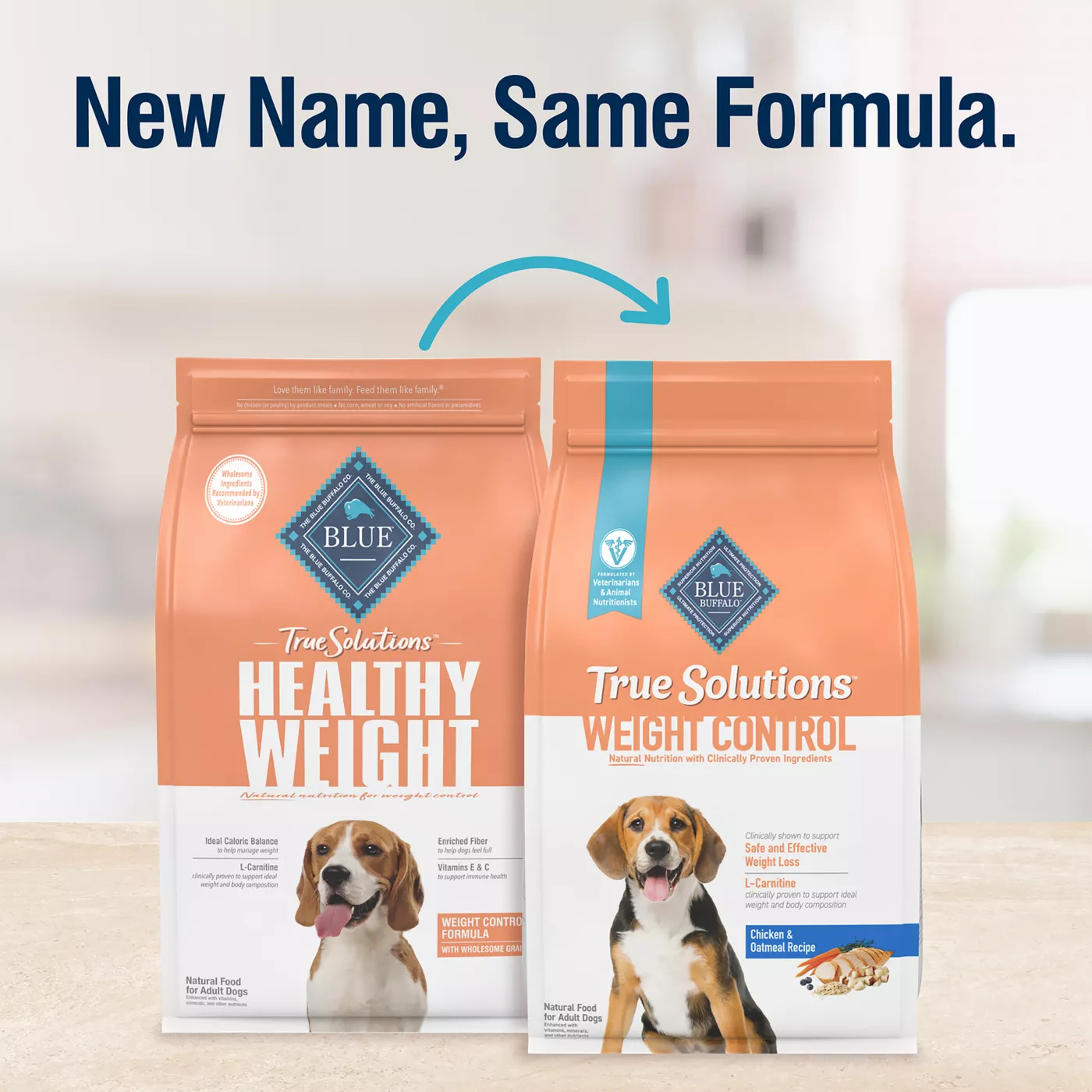 Best dry dog food for cancer best sale