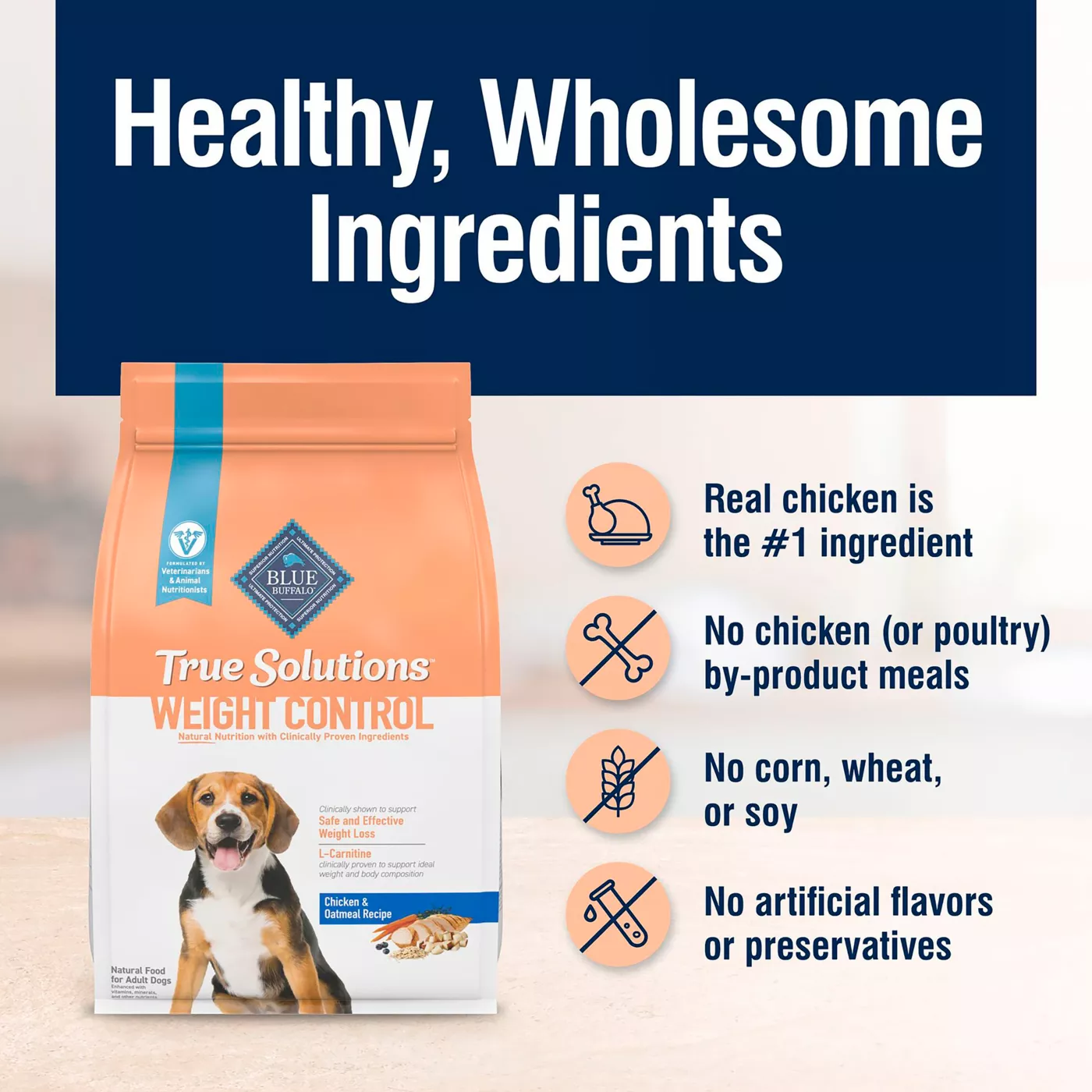 Healthiest dog dry food online