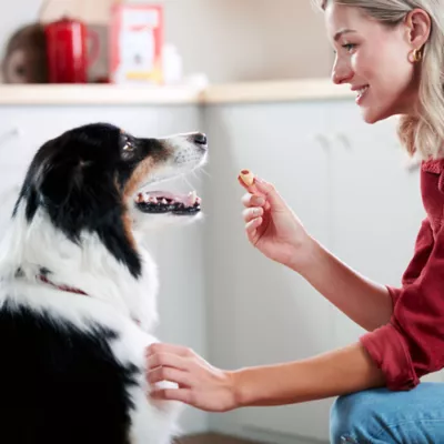 Product Milk-Bone MaroSnacks Dog Treat All Ages - Bacon