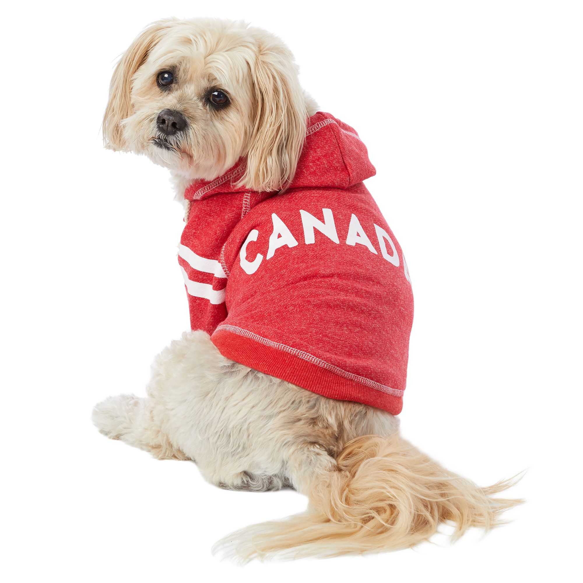 dog clothes canada