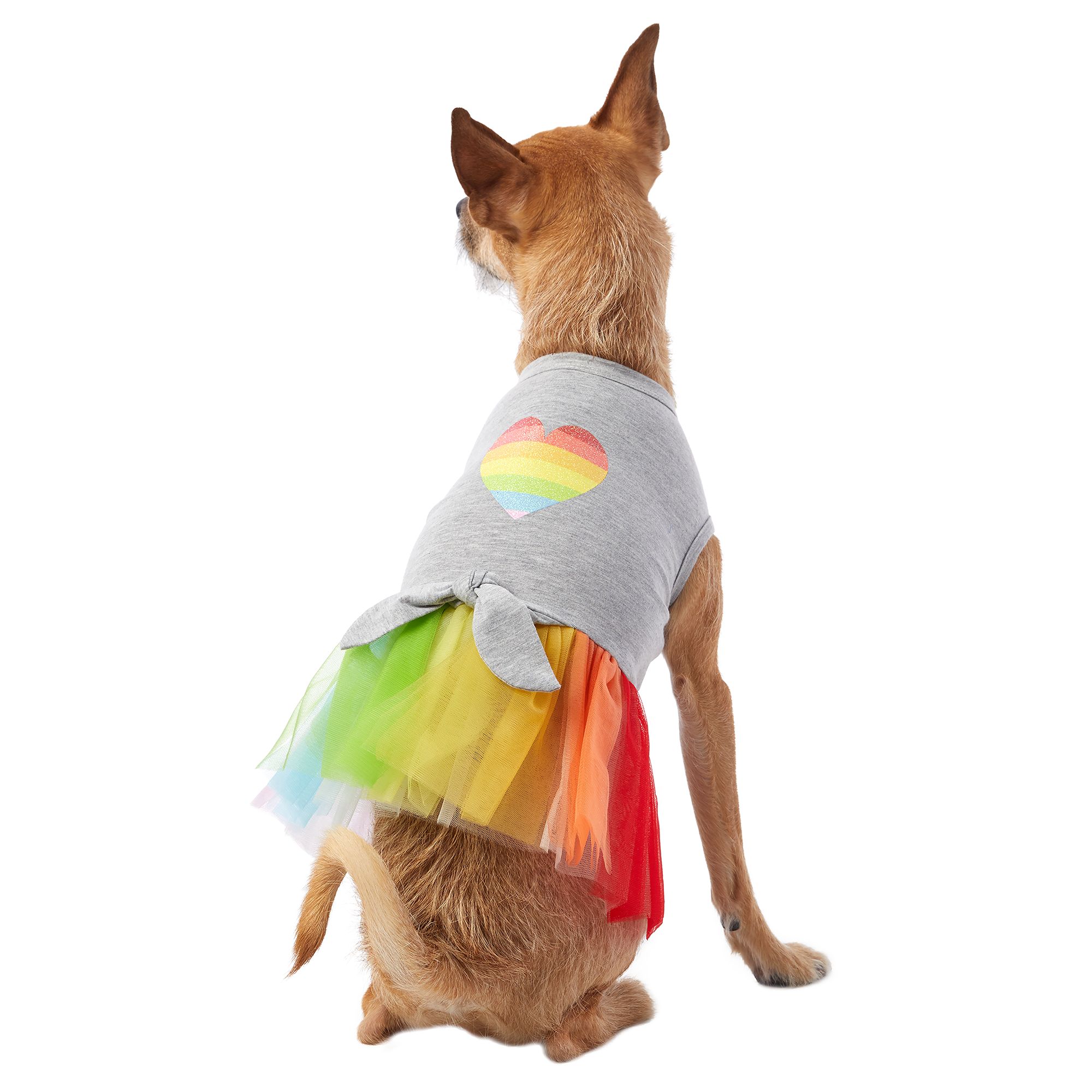 dog pride clothes