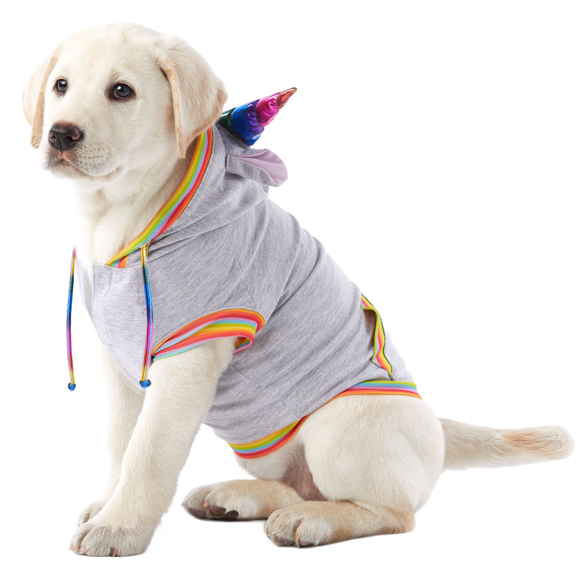 You Are Loved Pride Unconditional Love Unicorn Pet Hoodie Dog