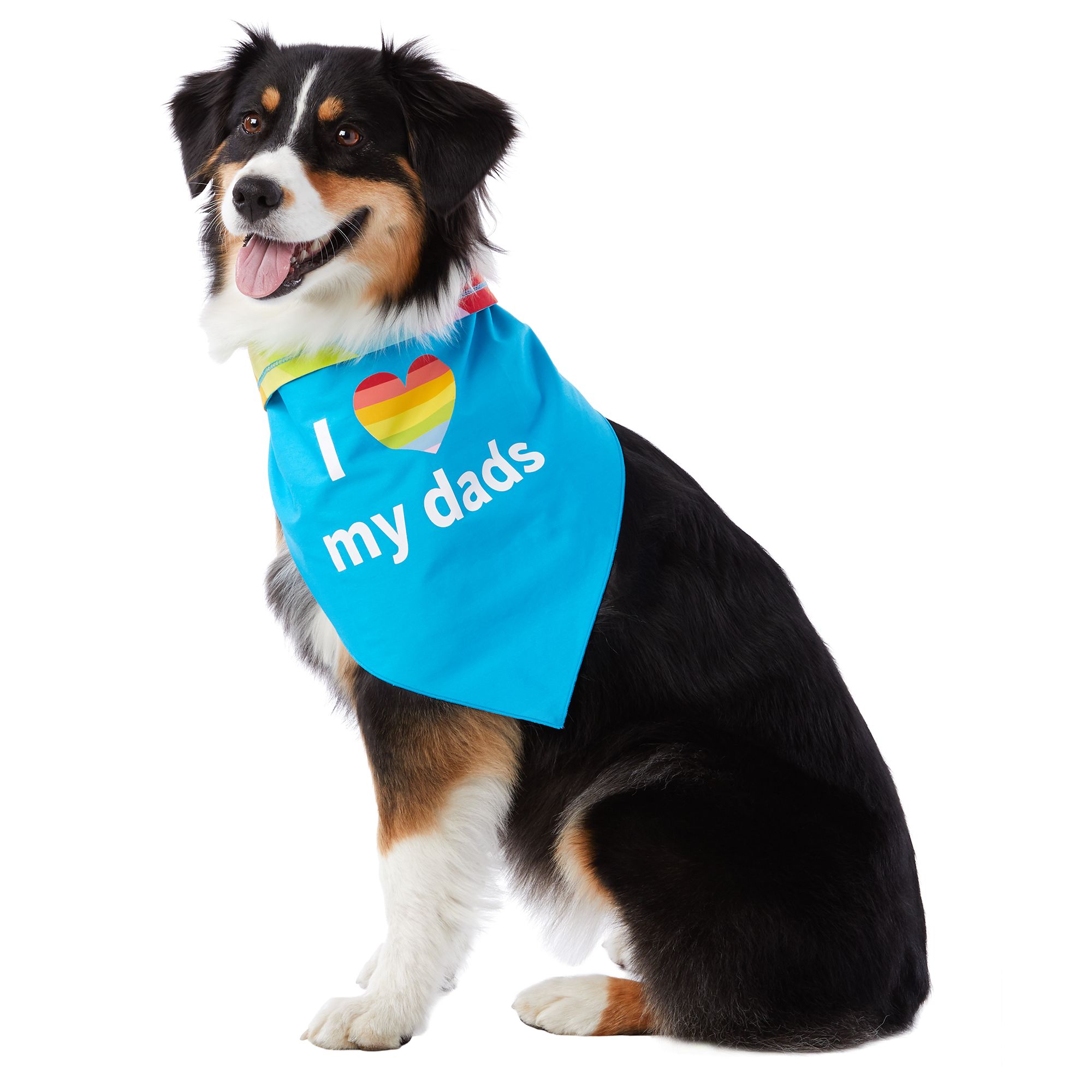 promotional dog bandanas