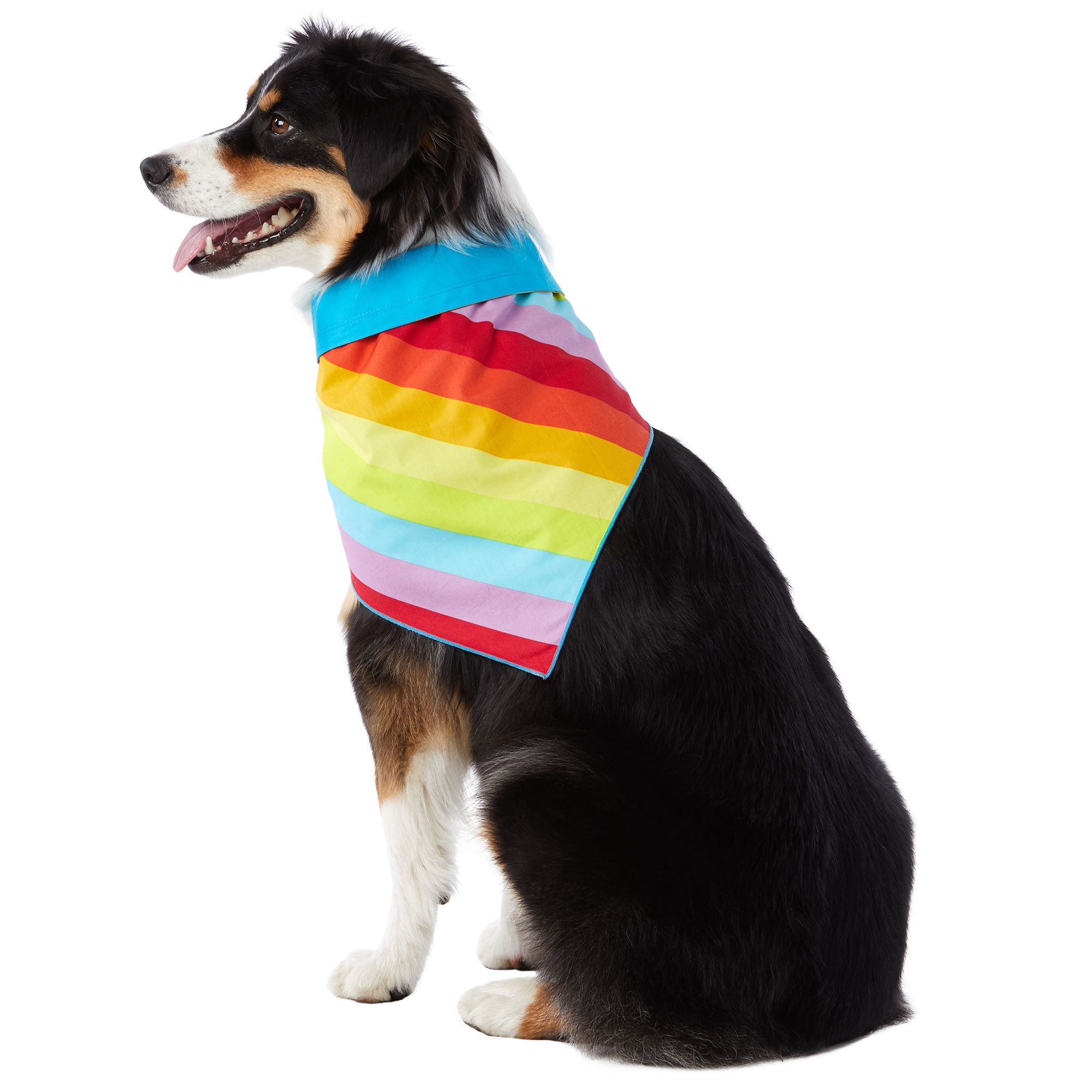 petsmart dog bandanas