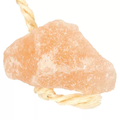 Product WARE® Himalayan Salt Small Pet Chew