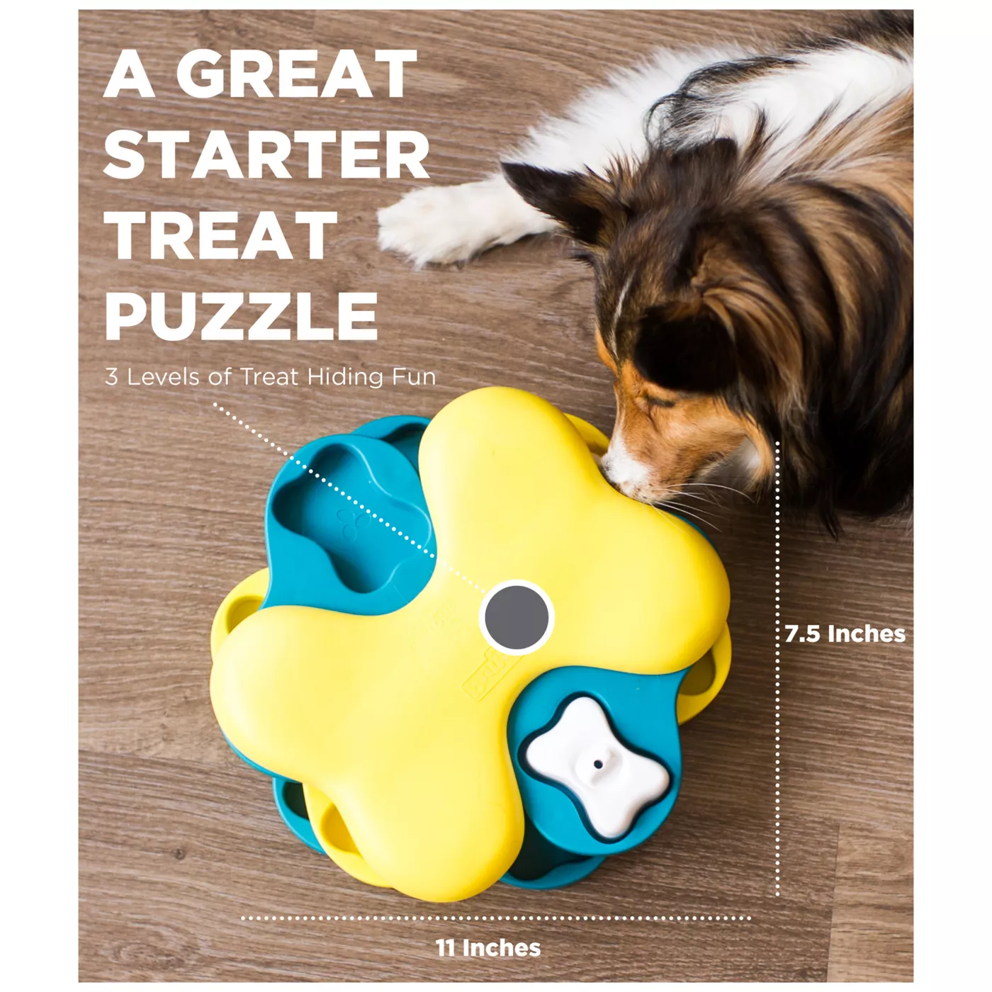 Dog puzzle toys kmart best sale