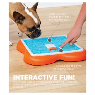 Outward Hound Challenge Slider Dog Puzzle Toy