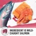 Purina® Beyond® Simply Indoor Adult Cat Dry Food - Salmon, Natural, Omegas image thumbnail 4