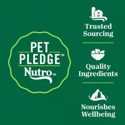 Product Nutro Wholesome Essentials ™ Kitten Dry Cat Food - Non-GMO, Natural, Chicken & Brown Rice