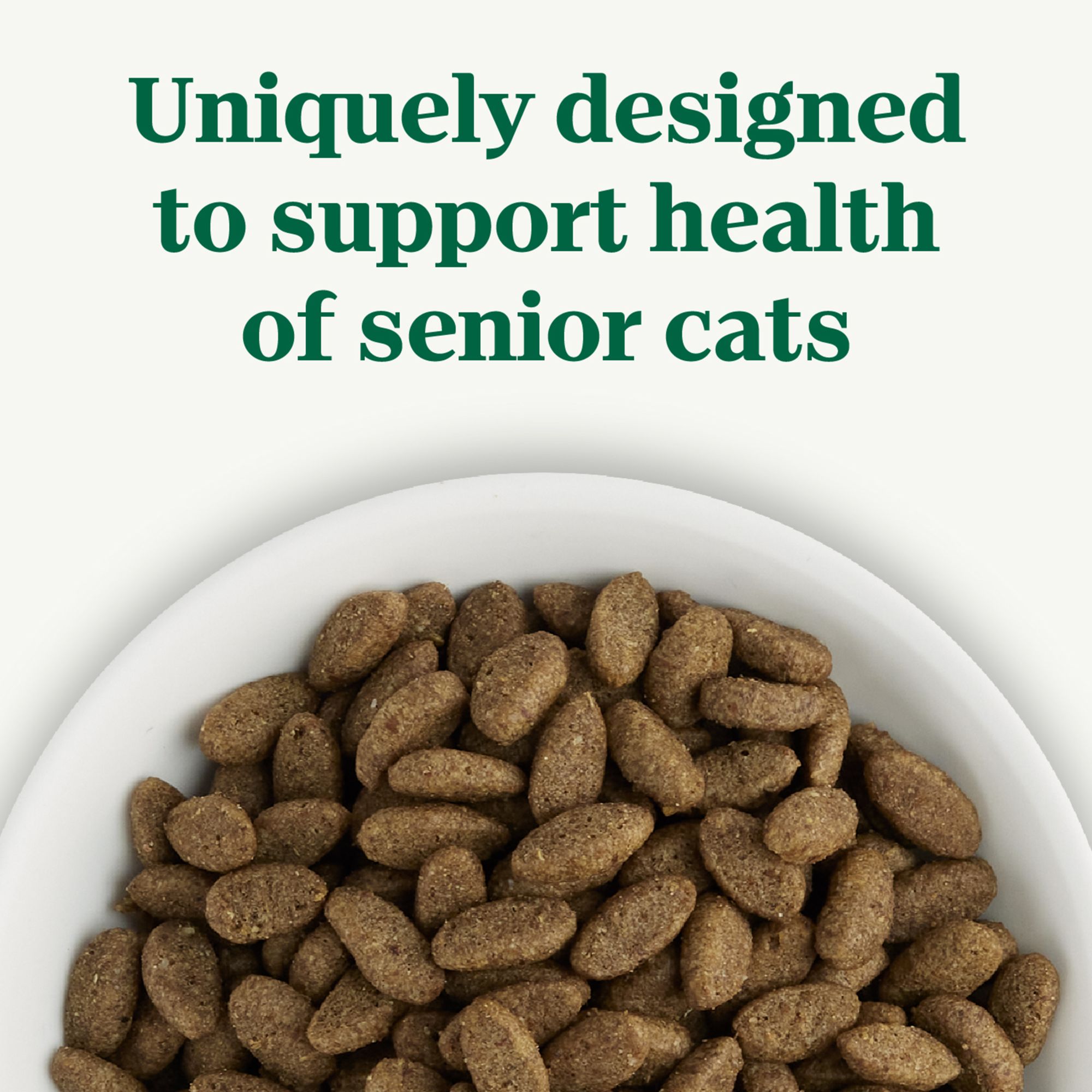Nutro Wholesome Essentials™ Senior Dry Cat Food - Natural, Chicken