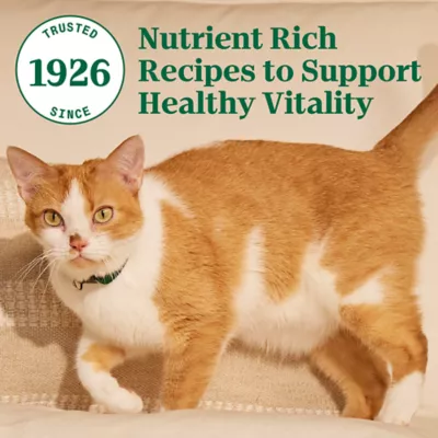 Product Nutro Wholesome Essentials™ Senior Dry Cat Food - Non-GMO, Natural, Chicken & Brown Rice