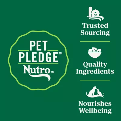 Product Nutro Wholesome Essentials™ Hairball Control Adult Dry Cat Food - Non GMO, Chicken & Brown Ric