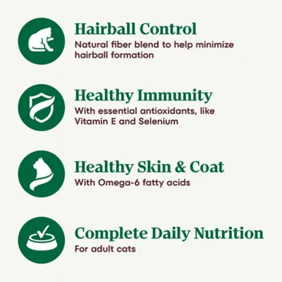 Product Nutro Wholesome Essentials™ Hairball Control Adult Dry Cat Food - Non GMO, Chicken & Brown Ric