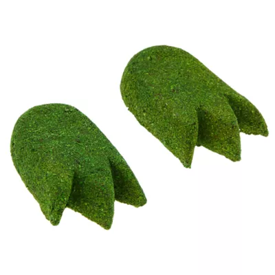 Product Tiny Tales™ Dino Feet Small Pet Wood Chews