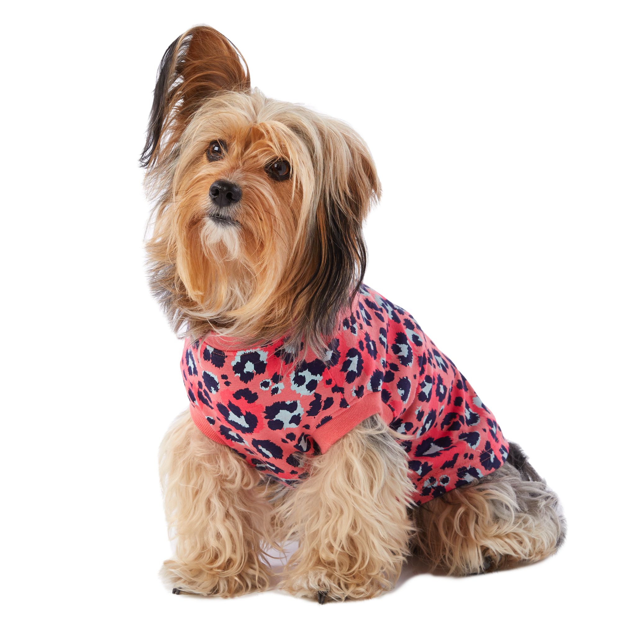 petsmart dog shirts