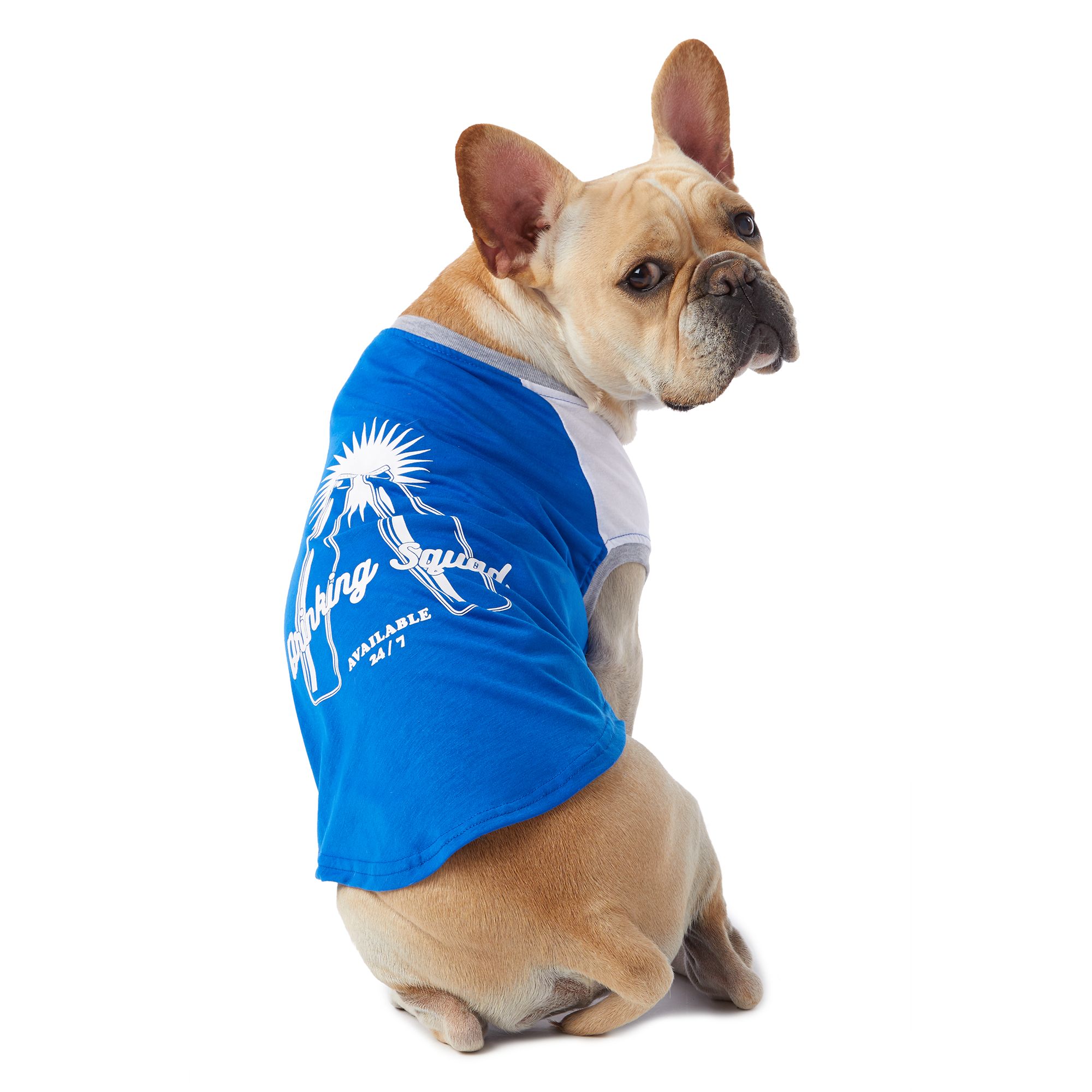 petsmart dog shirts