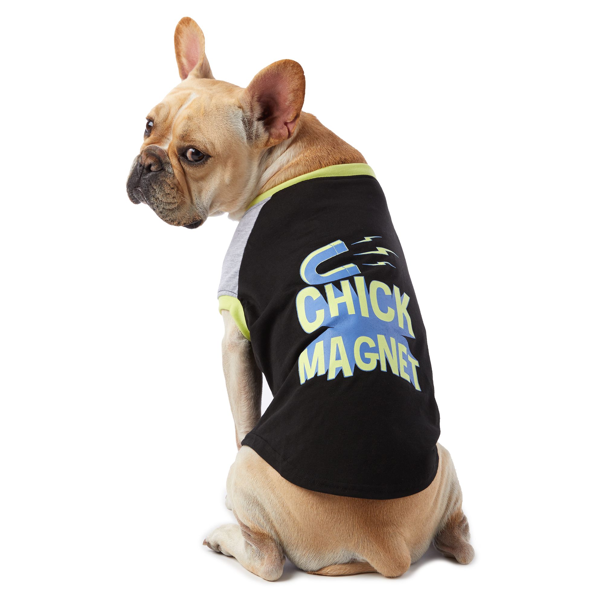 Dog birthday outlet shirt petsmart