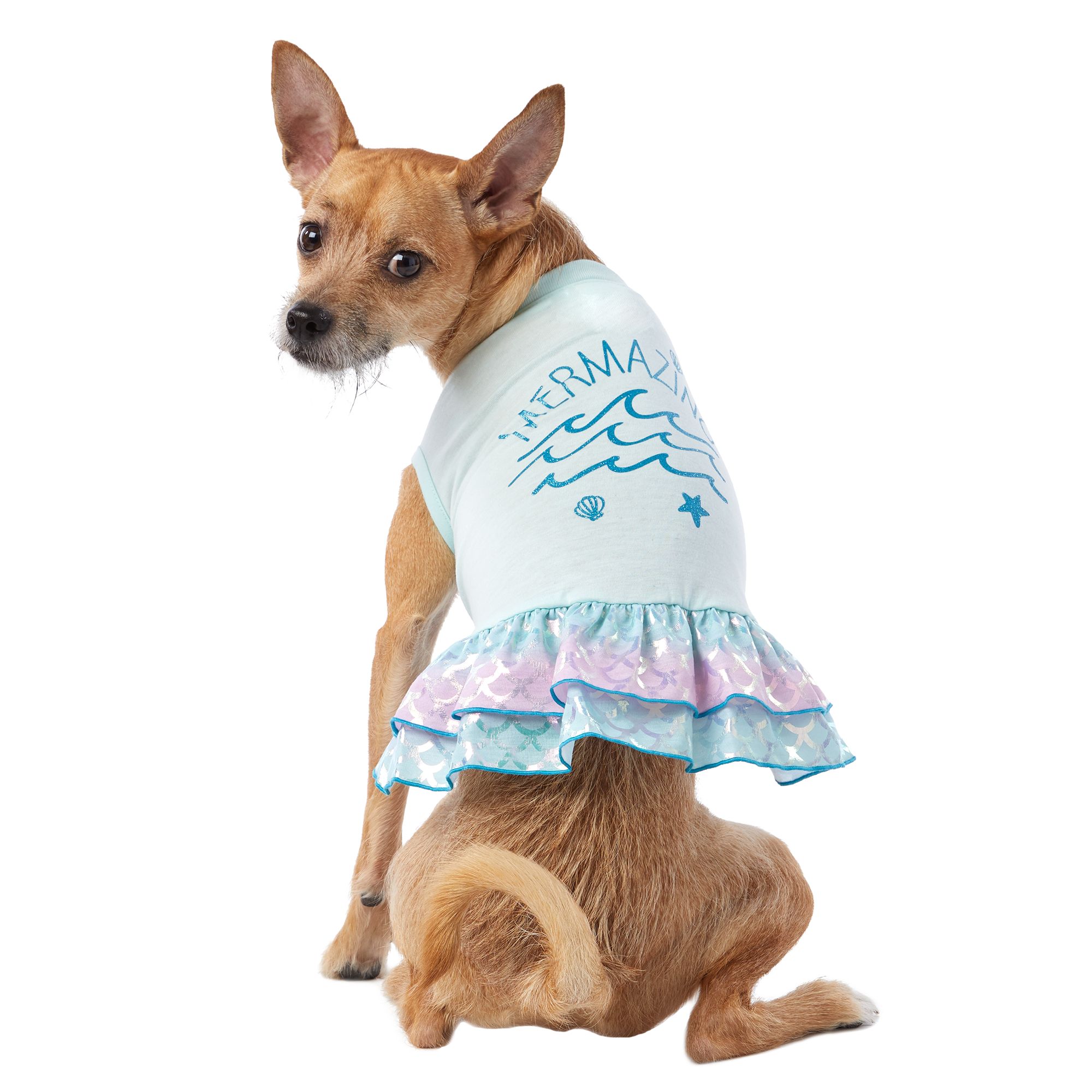 pet clothes