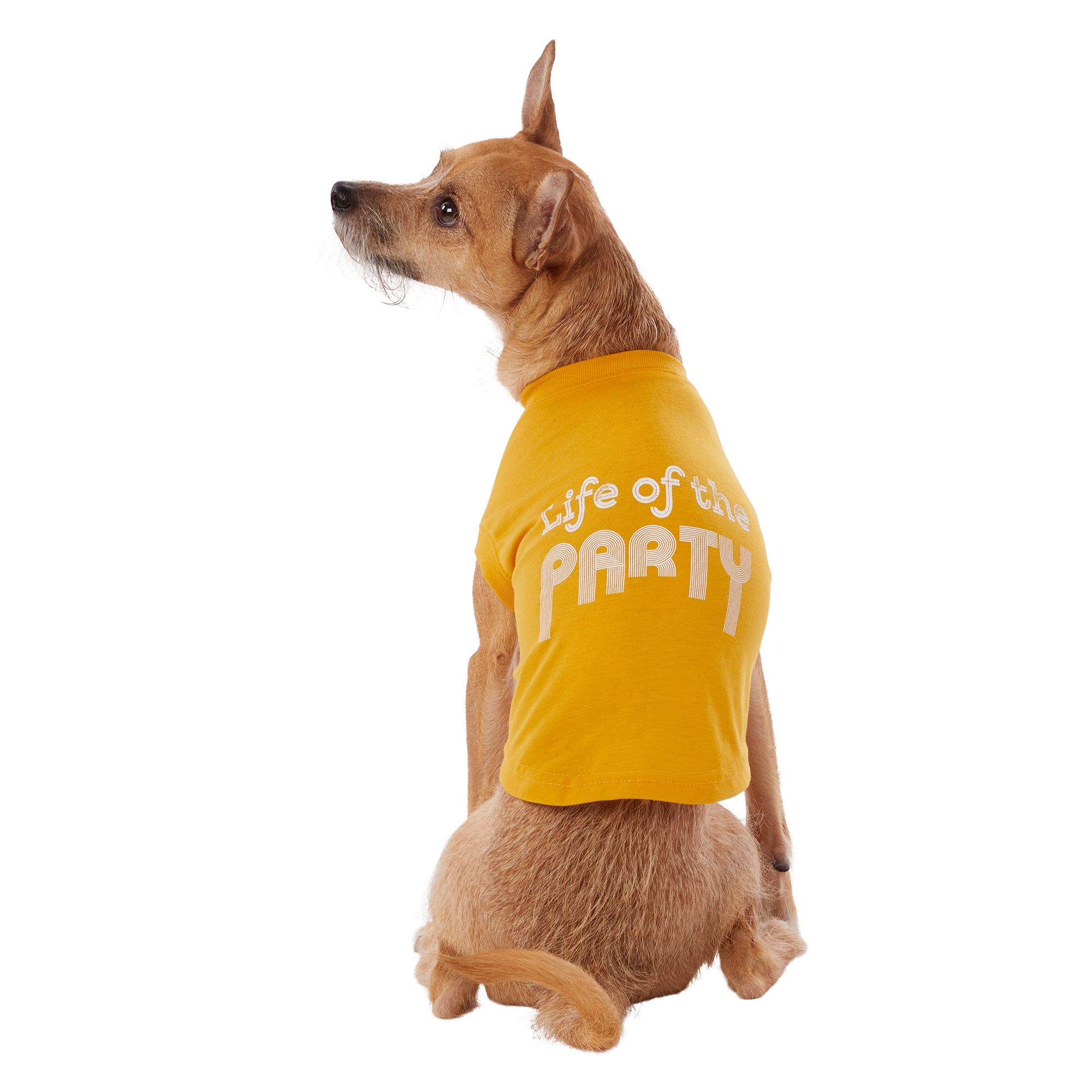 petsmart dog shirts