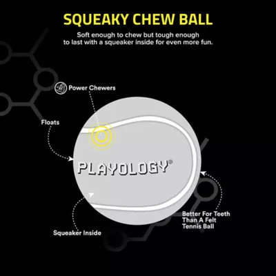 Product Playology® Squeaky Scented Chew Ball Dog Toy - Beef