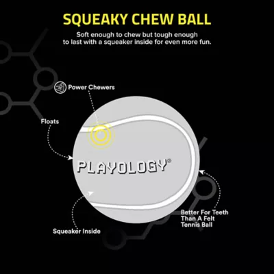 Product Playology® Squeaky Scented Chew Ball Dog Toy - Peanut Butter