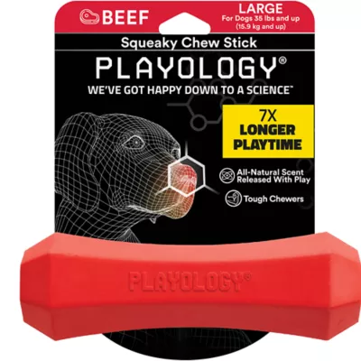 Product Playology® Squeaky Scented Chew Stick Dog Toy - Beef