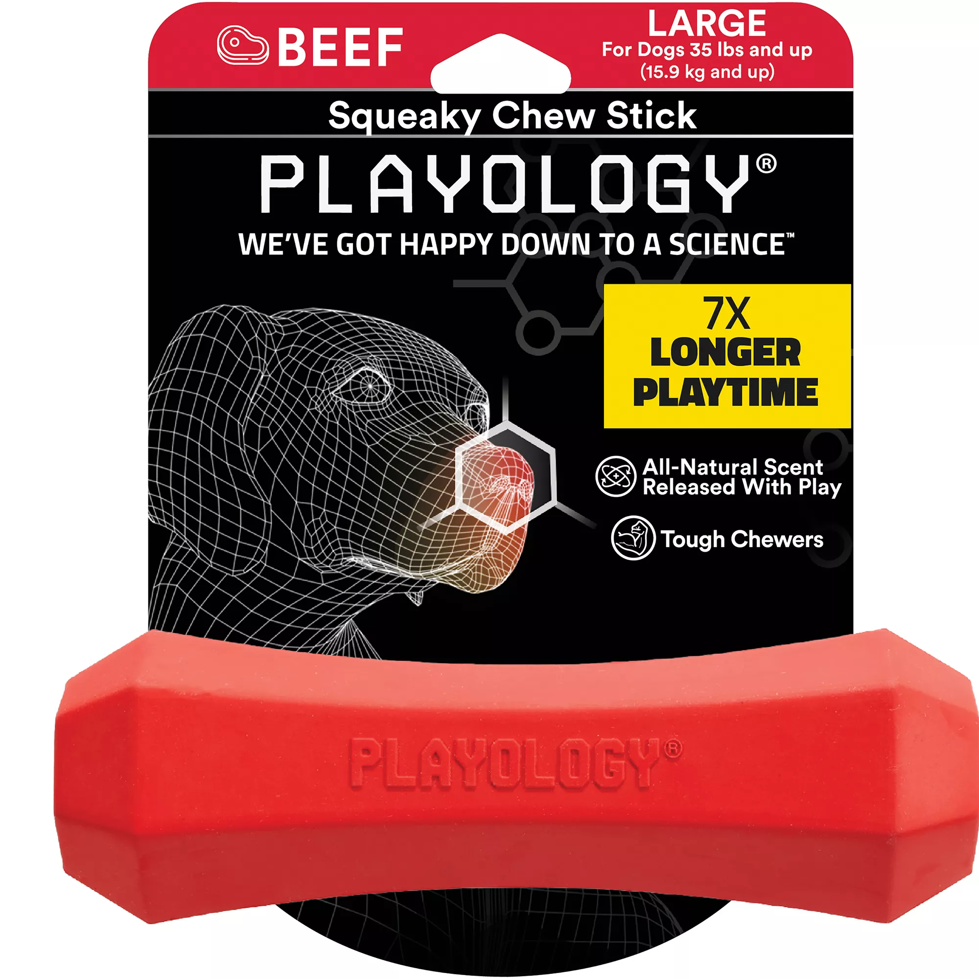 Playology® Squeaky Scented Chew Stick Dog Toy - Beef