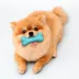 Playology® Dual Layer Bone Scented Dog Toy - Peanut Butter image thumbnail 3