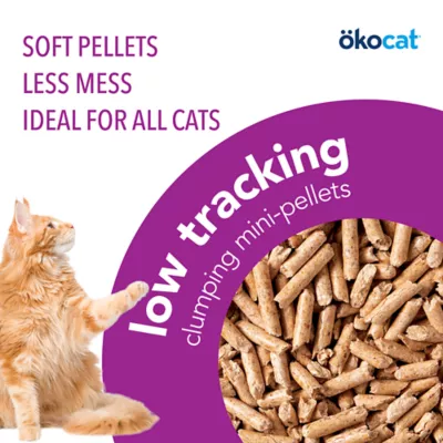 Petsmart okocat best sale