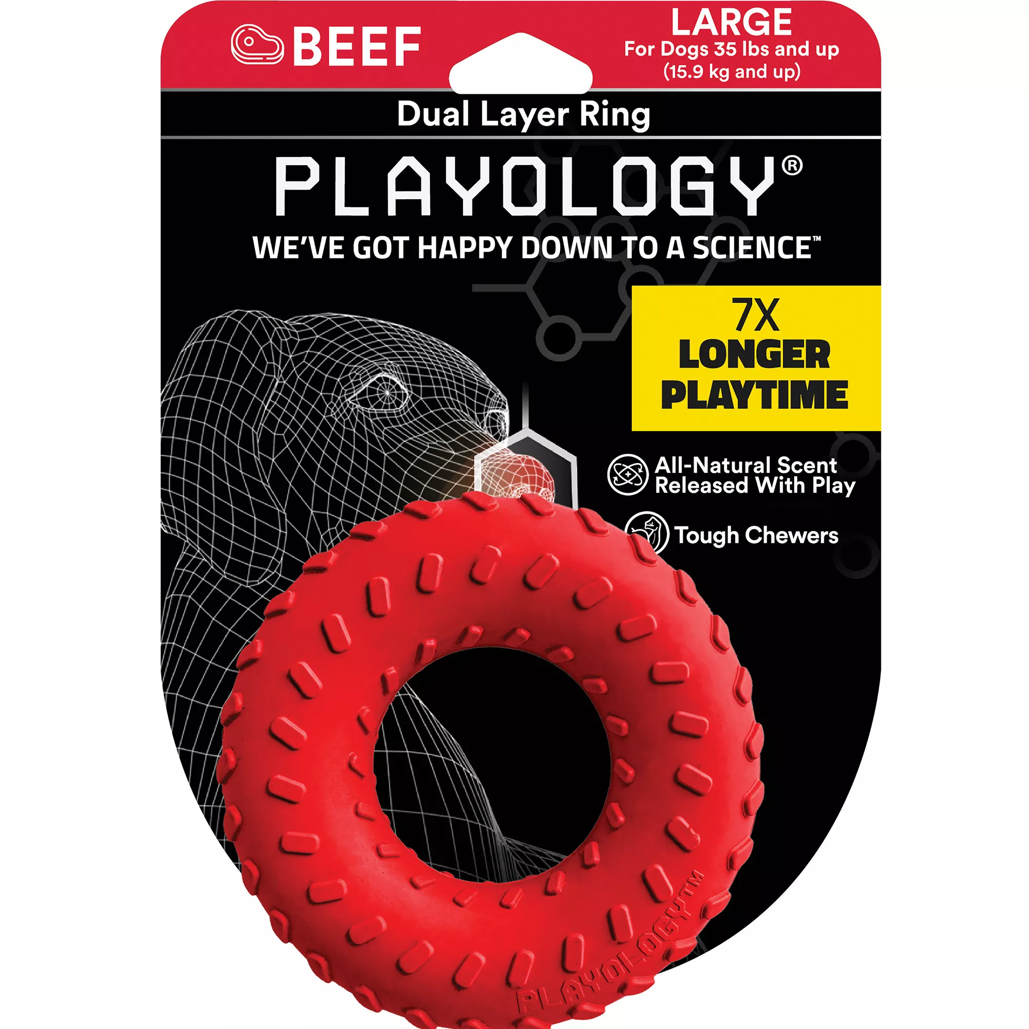 Playology® Dual Ring Scented Bone Dog Toy - Beef