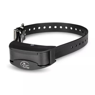 Bark collar petsmart best sale