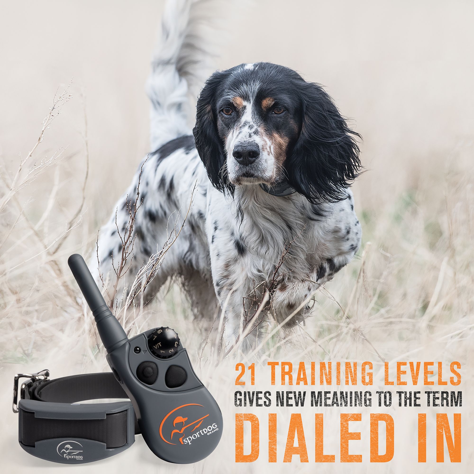 sportdog brand 425 family remote trainers