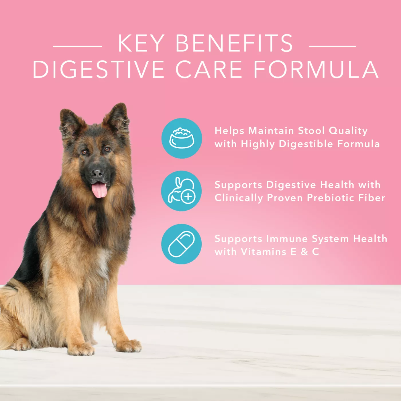 Dog food average cost hot sale