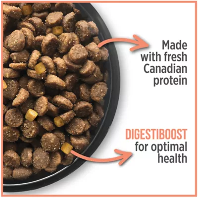 Nutrience Care® Sensitive Skin & Stomach Adult Cat Food - Image 3
