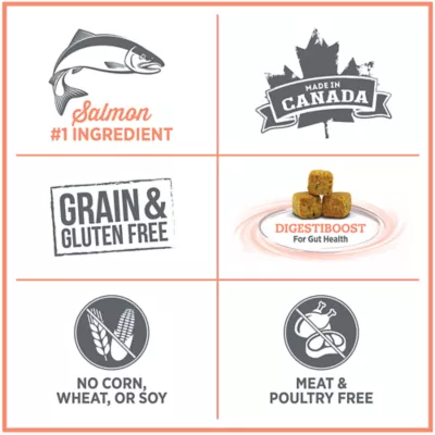 Nutrience Care® Sensitive Skin & Stomach Adult Cat Food - Image 5