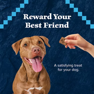 Product Blue Buffalo® Wilderness™ All Life Stages Dog Treats - Natural, Turkey