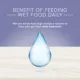 Product Blue Buffalo® True Solutions™ Urinary Care Adult Cat Food - Chicken