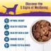 Wellness® Stews All Life Stage Wet Dog Food - Natural image thumbnail 4