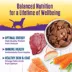 Wellness® Stews All Life Stage Wet Dog Food - Natural image thumbnail 5