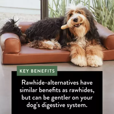 Product Dentley's® Rawhide-Free 6" Dog Chew - 1 Count